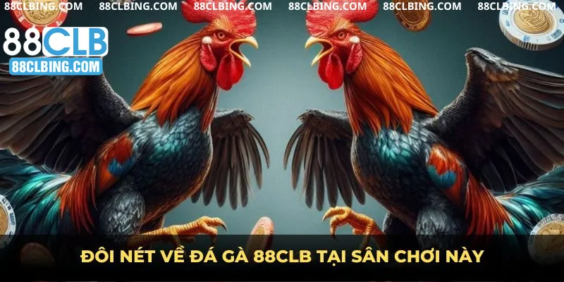 Đôi nét về đá gà 88clb tại sân chơi này